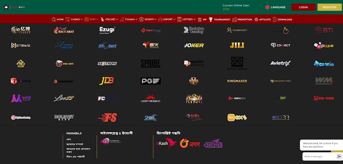 game providers presented in the casino